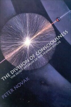 Division of Consciousness