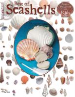 Best Book Of Seashells