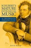 Schubert's Mature Instrumental Music A Theorist's Perspective