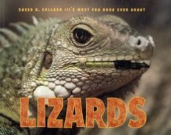 Sneed B. Collard III's Most Fun Book Ever About Lizards