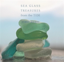 Sea Glass Treasures from the Tide