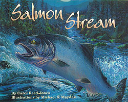 Salmon Stream