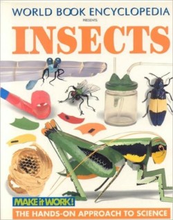 Insects