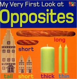 My Very First Look at Opposites
