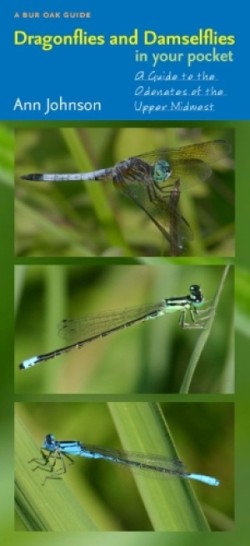 Dragonflies and Damselflies in Your Pocket