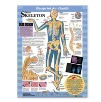 Blueprint for Health Your Skeleton Chart