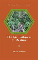 Six Pathways of Destiny