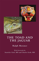 Toad and the Jaguar a Field Report of Underground Research on a Visionary Medicine