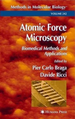 Atomic Force Microscopy