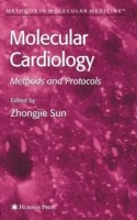 Molecular Cardiology