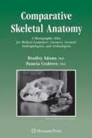 Comparative Skeletal Anatomy