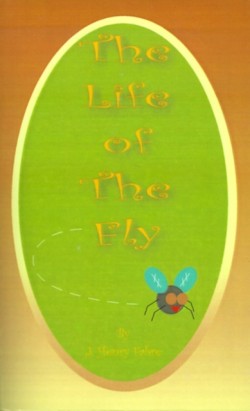 Life of the Fly