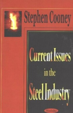 Current Issues in the Steel Industry