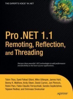 Pro .NET 1.1 Remoting, Reflection, and Threading