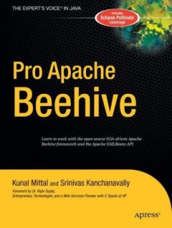 Pro Apache Beehive