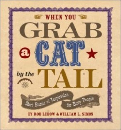 When You Grab a Cat By the Tail