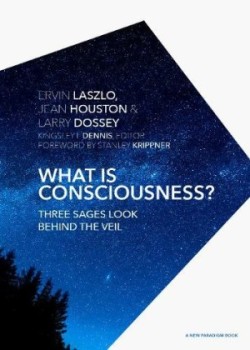 What is Consciousness?