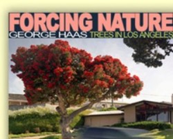 Forcing Nature