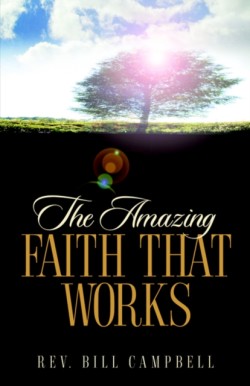 Amazing Faith That Works