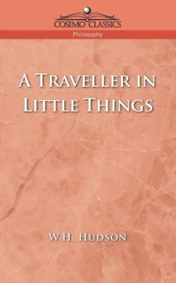 Traveller in Little Things