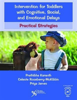 Intervention for Toddlers with Cognitive, Social, and Emotional Delays