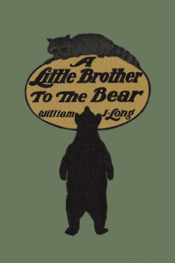 Little Brother to the Bear