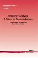 Efficiency Analysis