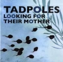 Tadpoles Looking for Their Mother