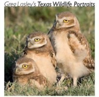 Greg Lasley's Texas Wildlife Portraits