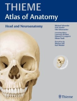 Head and Neuroanatomy (Thieme Atlas of Anatomy) HB English