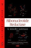 Ribonucleotide Reductase