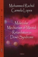 Molecular Mechanism of Mental Retardation in Down Syndrome