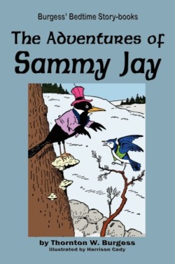 Adventures of Sammy Jay