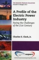 Profile of the Electric Power Industry: Facing the Challenges of the 21st Century