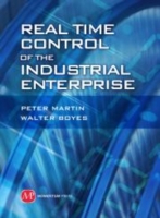 Real Time Control of the Industrial Enterprise