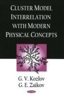 Cluster Model Interrelation with Modern Physical Concepts