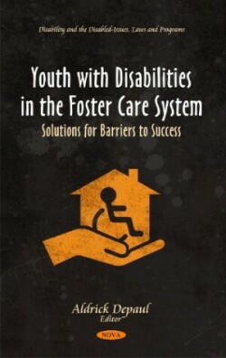 Youth with Disabilities in the Foster Care System