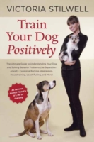 Train Your Dog Positively