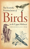 Scientific Nomenclature of Birds in the Upper Midwest