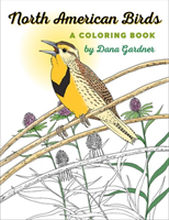 North American Birds