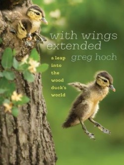 With Wings Extended