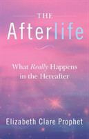 Afterlife