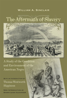 Aftermath of Slavery