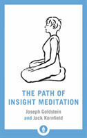 Path of Insight Meditation