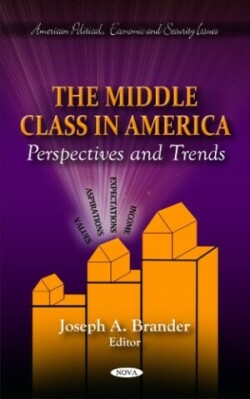 Middle Class in America