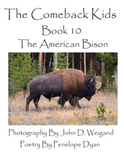 Comeback Kids--Book 10--The American Bison
