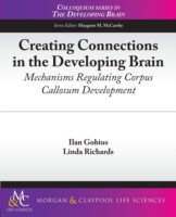 Creating Connections in the Developing Brain