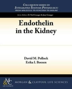 Endothelin in the Kidney