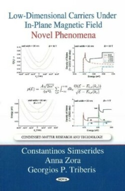 Low-Dimensional Carriers Under In-Plane Magnetic Field