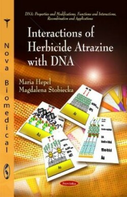 Interactions of Herbicide Atrazine with DNA